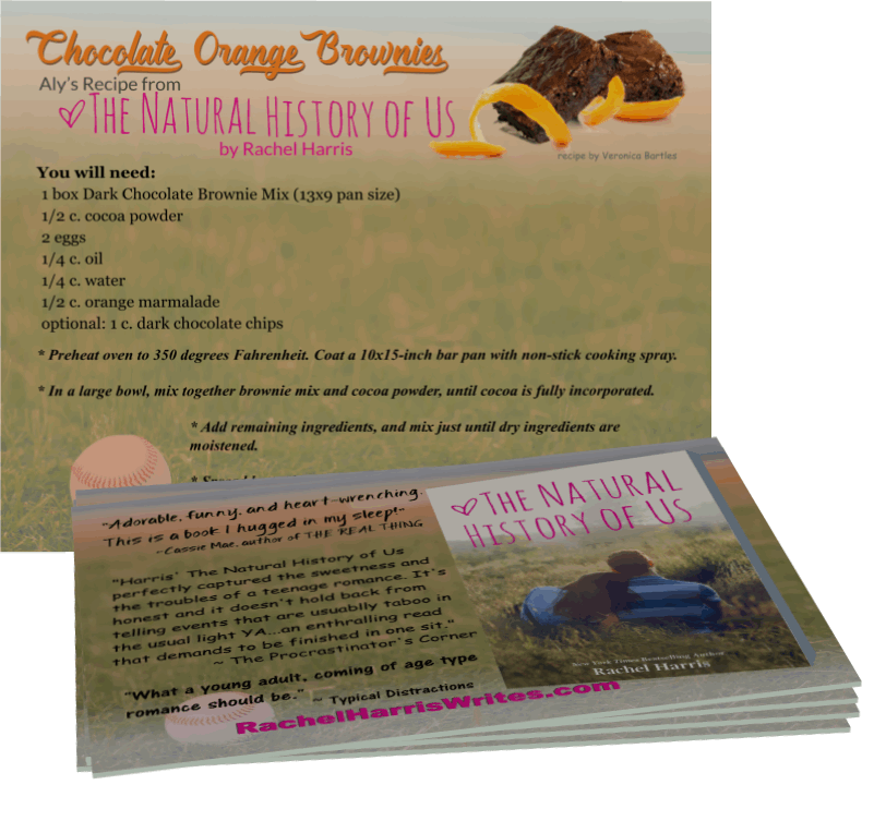 chocolate orange brownie recipe postcards: book swag for Rachel Harris' THE NATURAL HISTORY OF US