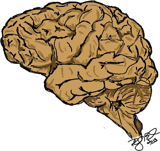 illustration of a brain, with a tumor in the brain stem area