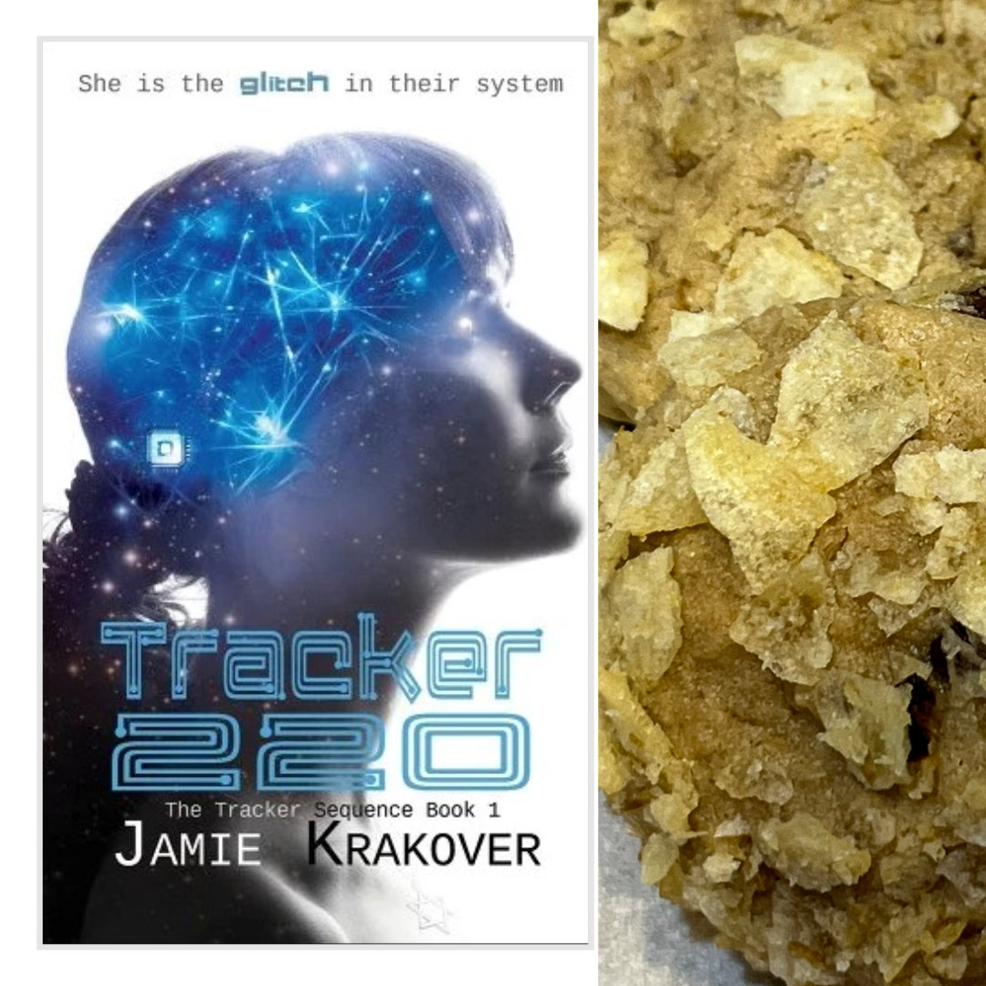 Broken Chip Cookies: chocolate chip cookies dusted with crushed potato chips on a white plate, with the cover of the YA novel TRACKER 220 by Jamie Krakover in the left-hand column